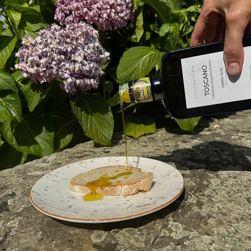 degustazione-olio